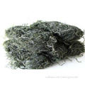 OEM Organic Roasted Seasoned Seaweed / Dry kelp Seaweed , H